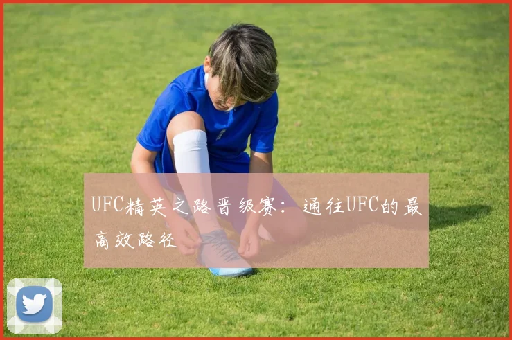 UFC精英之路晋级赛：通往UFC的最高效路径