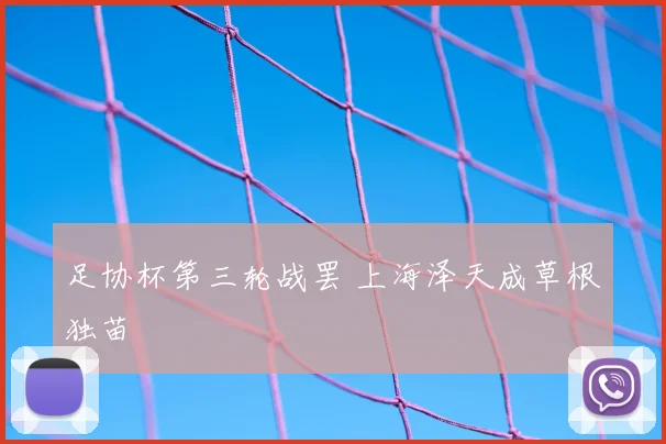 足协杯第三轮战罢 上海泽天成草根独苗