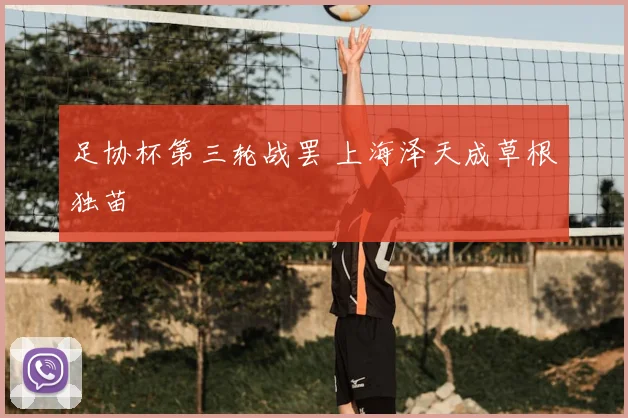 足协杯第三轮战罢 上海泽天成草根独苗