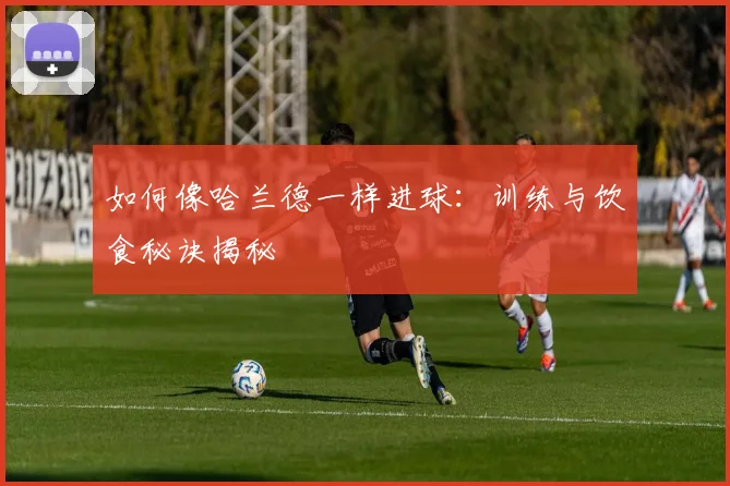 如何像哈兰德一样进球:训练与饮食秘诀揭秘