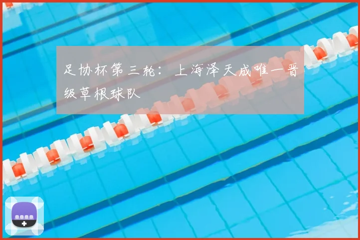 足协杯第三轮:上海泽天成唯一晋级草根球队