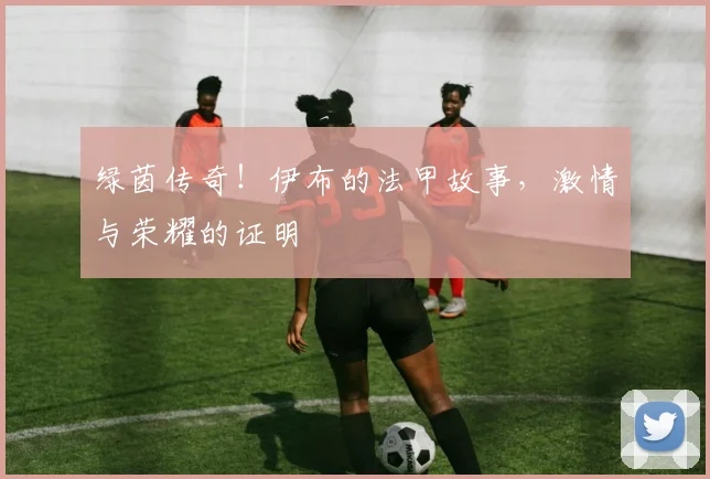 绿茵传奇!伊布的法甲故事,激情与荣耀的证明